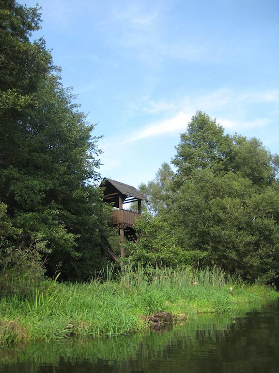 Storchenblick Leilighet Schlepzig Eksteriør bilde