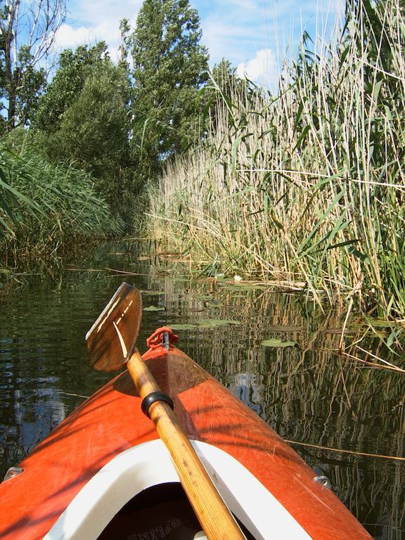 Storchenblick Leilighet Schlepzig Eksteriør bilde
