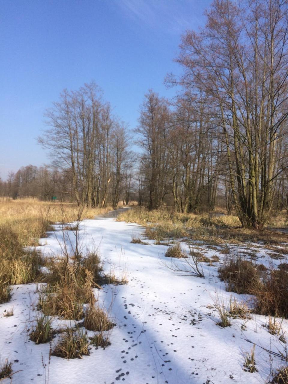 Storchenblick Leilighet Schlepzig Eksteriør bilde